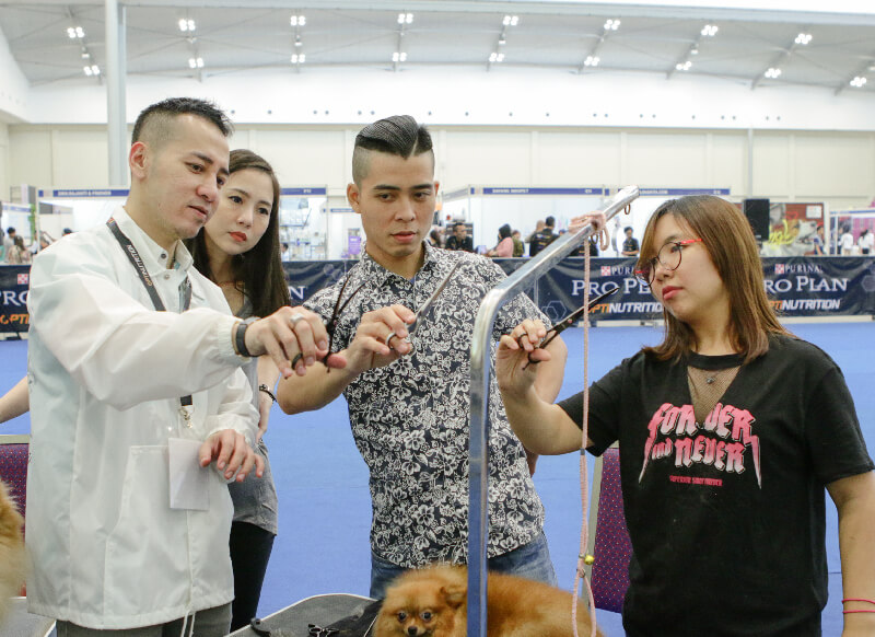 Indonesia International Pet Expo 2017 | Amazing Dog Race